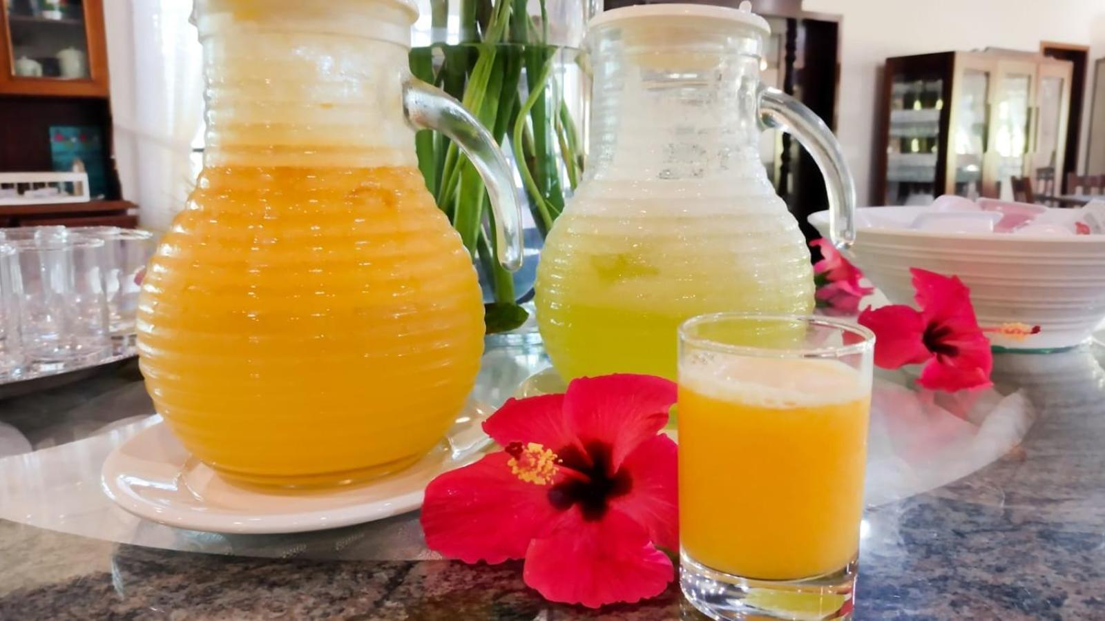 Tureck Garten Hotel كوروبا المظهر الخارجي الصورة